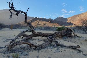 Damaraland Camino