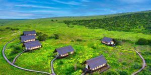 Gorah Elephant Camp