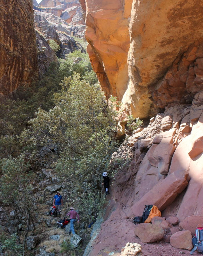 View from Rob's Cave of the gully