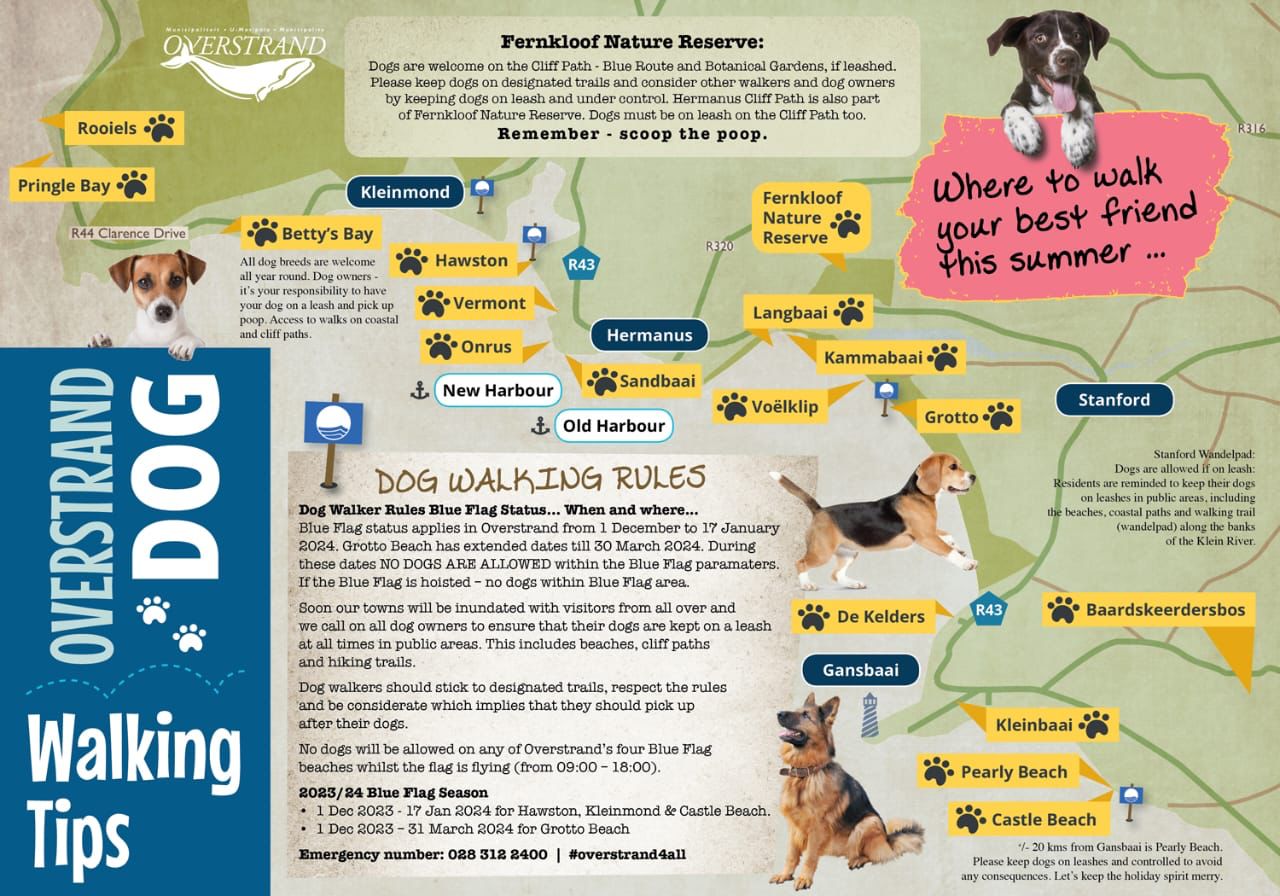 canine camio dog walking rules