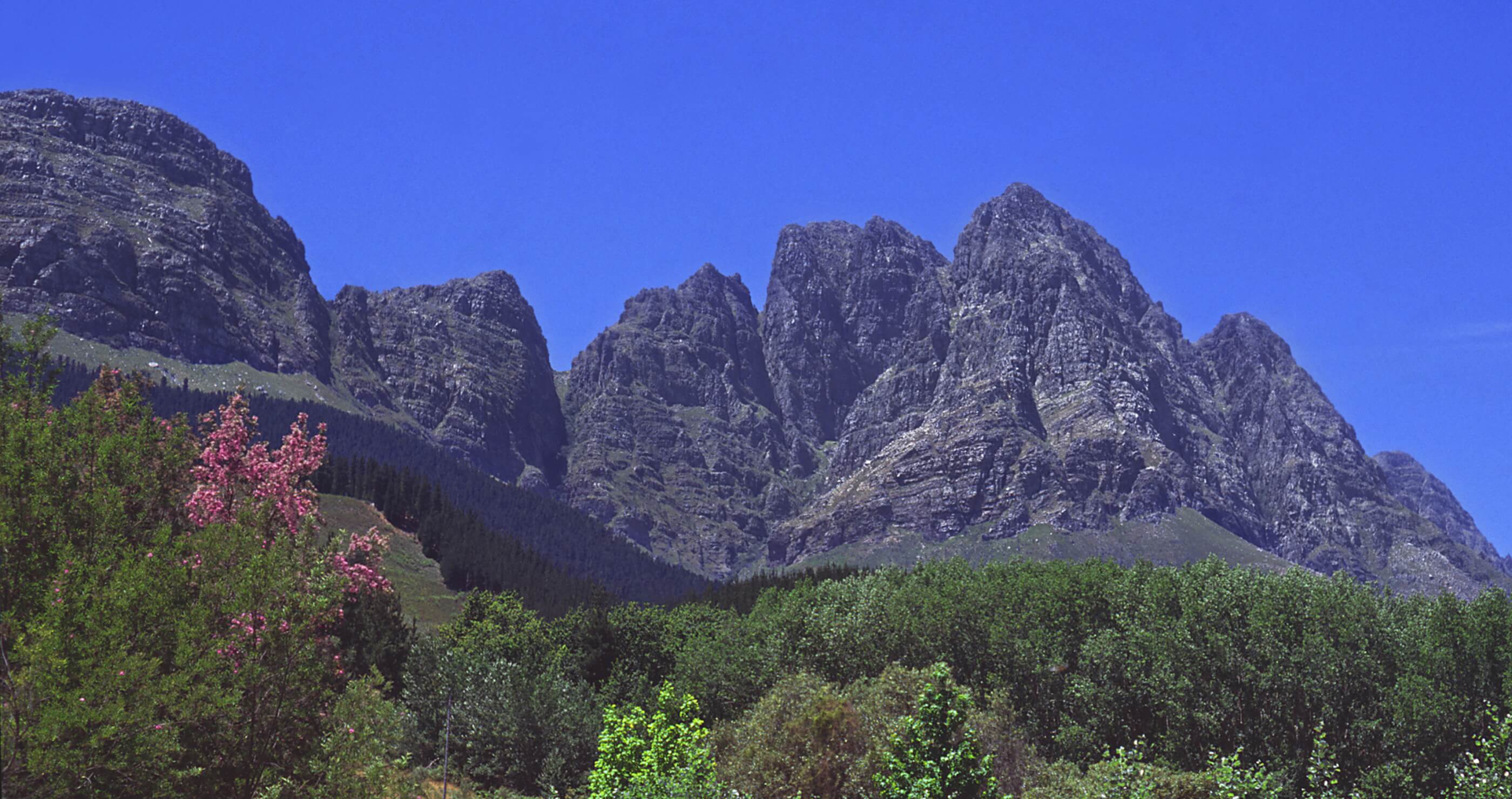 Jonkershoek Nature Reserve