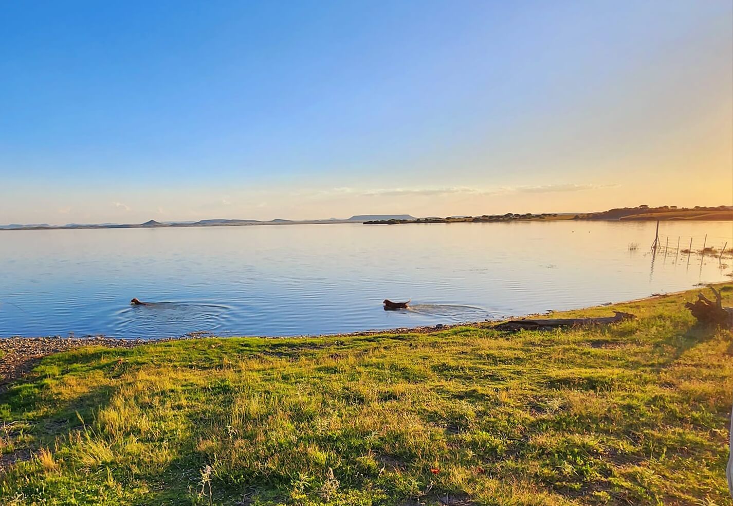 Kalkfontein Dam Nature Reserve