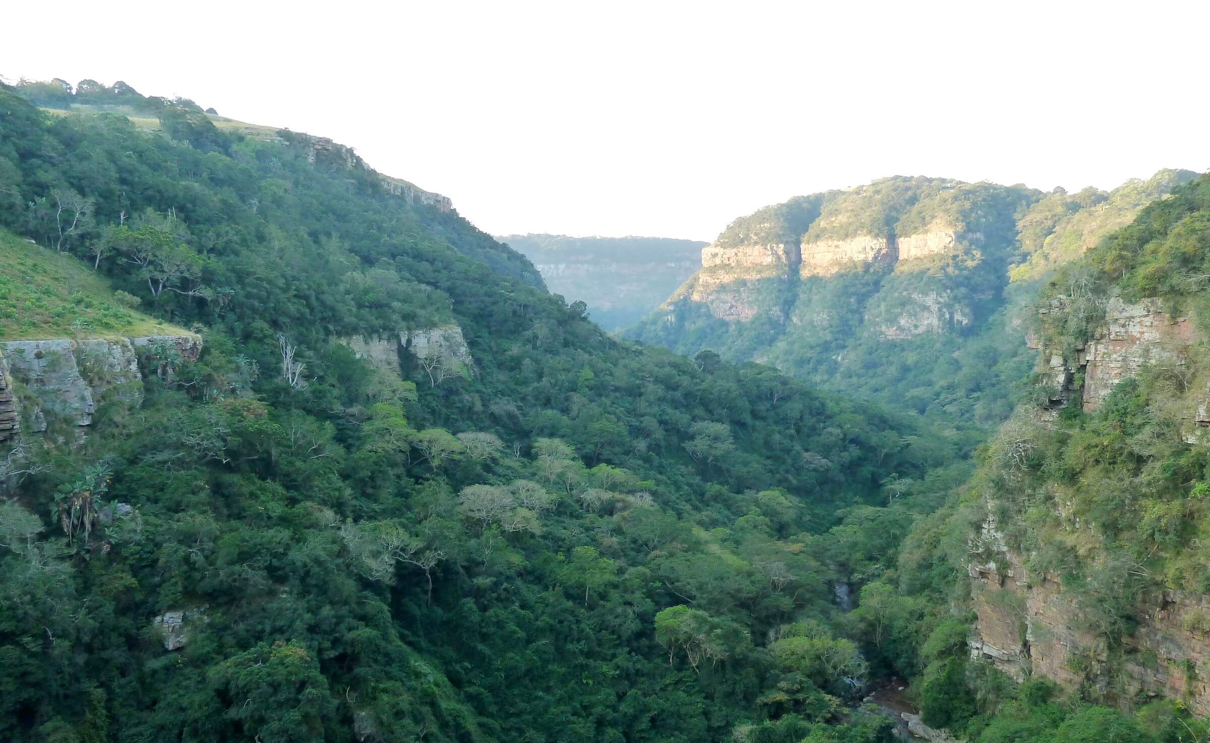 Krantzkloof Nature Reserve