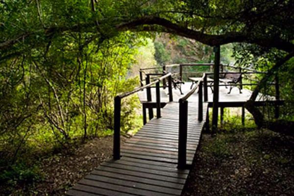 SANParks Addo Narina Bush Camp