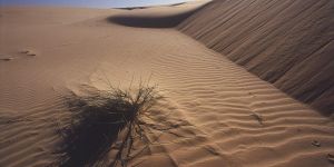 Witsand Kalahari Nature Reserve