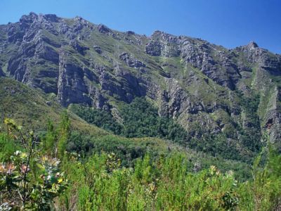 Boosmansbos Wilderness Area
