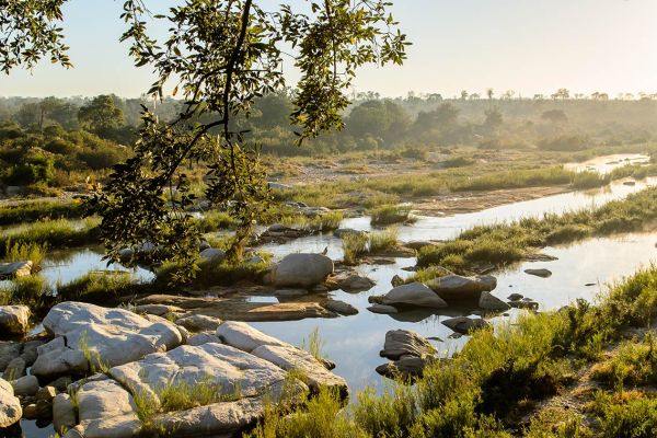 Sabi Sands Nature Reserve