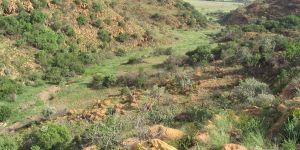 Suikerbosrand Nature Reserve