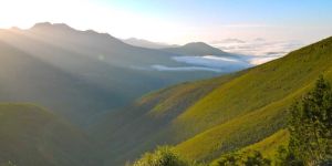 Outeniqua Hiking Trail