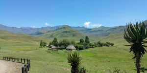 Lotheni Nature Reserve