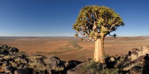 Meerkat National Park