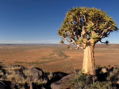 Meerkat National Park