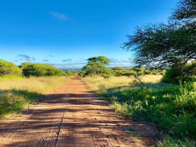 Polokwane Nature Reserve