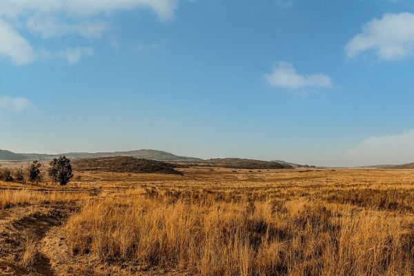 Kololo Game Reserve