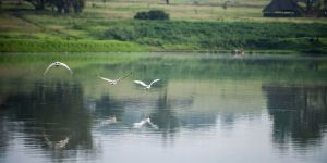 Modderfontein Nature Reserve