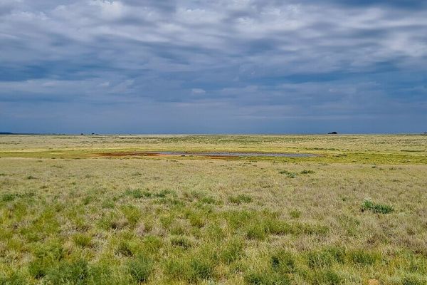 Mokala National Park
