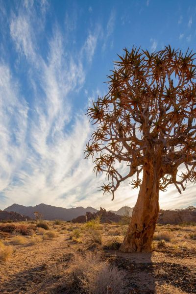 Northern Cape