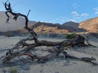 Damaraland Camino