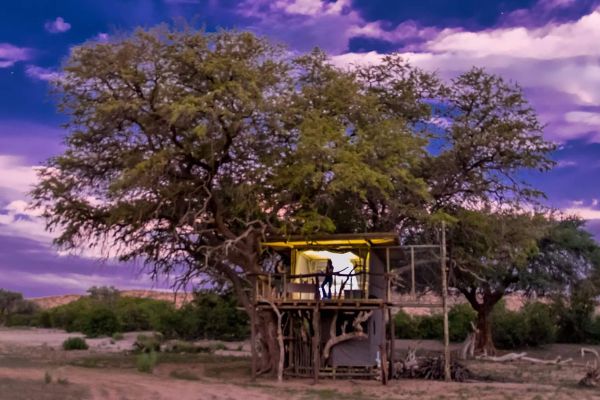 Tree House, Etosha