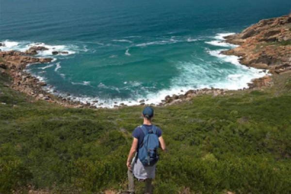 Oystercatcher Trail