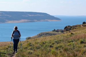 Sterkfontein Dam Nature Reserve