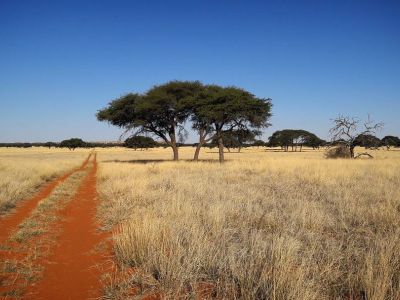 Benfontein Nature Reserve