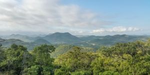 Barberton Nature Reserve