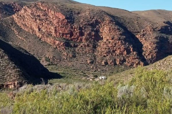 The Leopard Trail