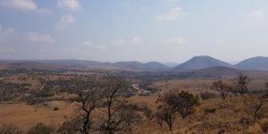 Rhenosterspruit Nature Conservancy