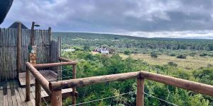 Harmony Game Lodge