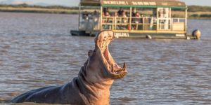 Imfolozi Game Reserve