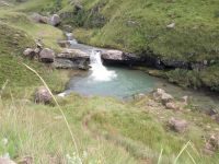 Cedric's Pool