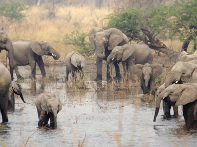 Mudumu National Park