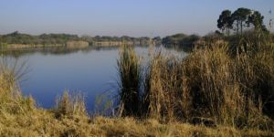 Northern Farm Nature Reserve