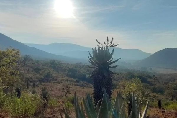 Elangeni Hiking Trail