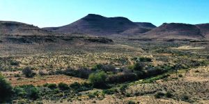 Dassiekloof Gasteplaas