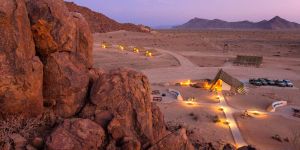 Desert Quiver Camp