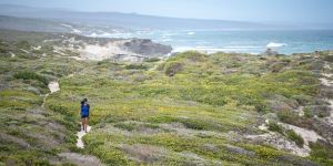 De Hoop Trail — Vlei to Whales