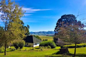 Pear Tree Cottage