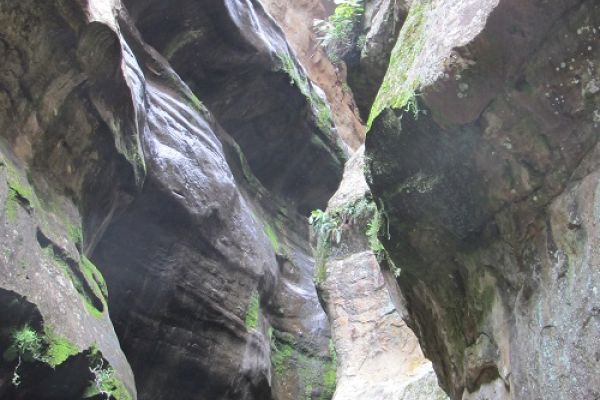 Cathedral Cave - Photo credit: The Travel Info Blogger