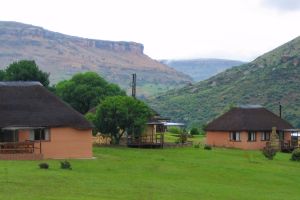 Camelroc Guest Farm