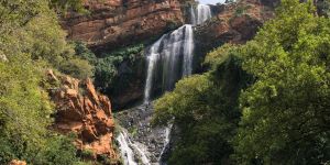 Walter Sisulu National Botanical Garden