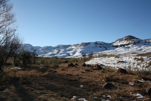 The Giant's Cup Trail