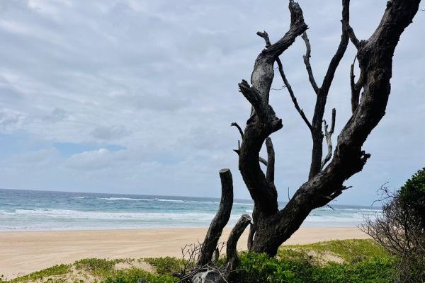 Experience Santa Maria Trail