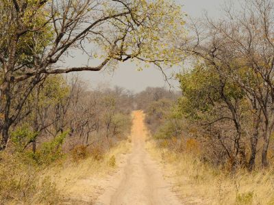 Mangetti National Park