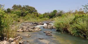 Popa Falls Game Park