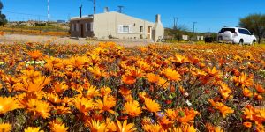 Cara Family Home @ Kamieskroon Cosy Cottages