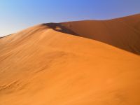 Big Daddy Dune