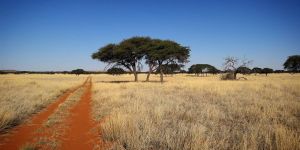 Benfontein Nature Reserve