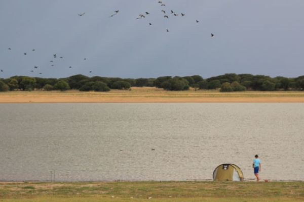 Bloemhof Dam Nature Reserve